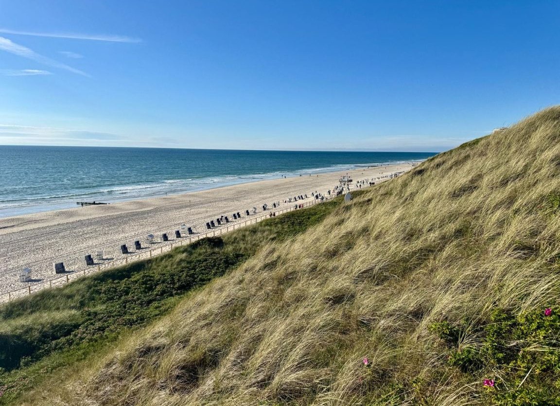 Dünen und Strand auf Sylt unter blauem Himmel