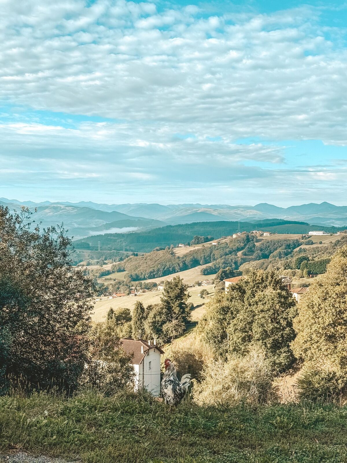 Grüne Hügel und ein Dorf in Nordspanien unter Schäfchenwolken